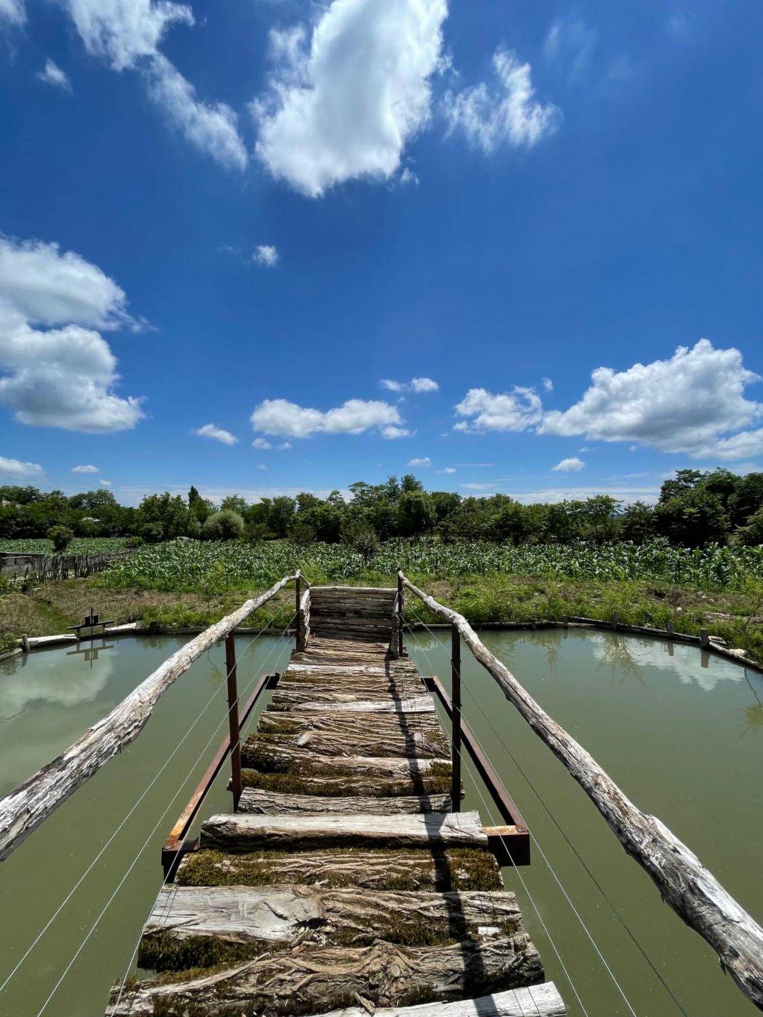 Kirta Hotel Gordi Buitenkant foto