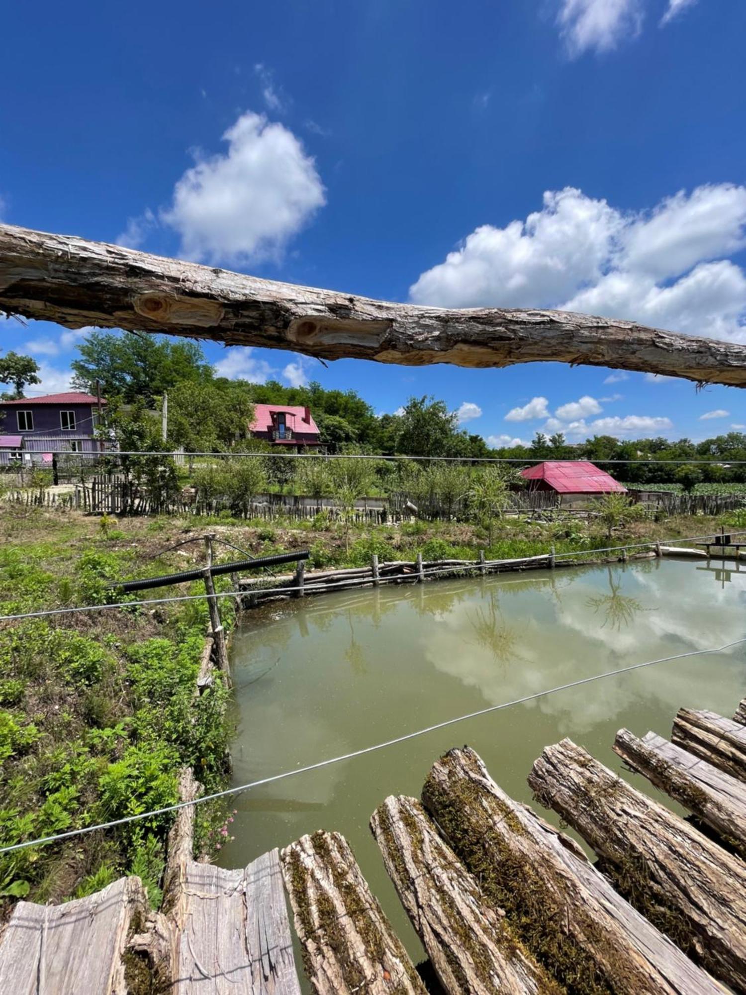 Kirta Hotel Gordi Buitenkant foto
